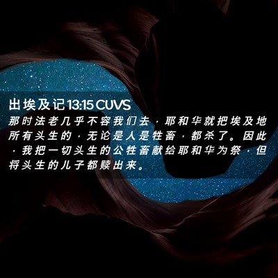 Picture 02 - 出 埃 及 记 13:15 CUVS - 那 时 法 老 几 乎 不 容 我 们 去 ， - Bible Verse Picture
