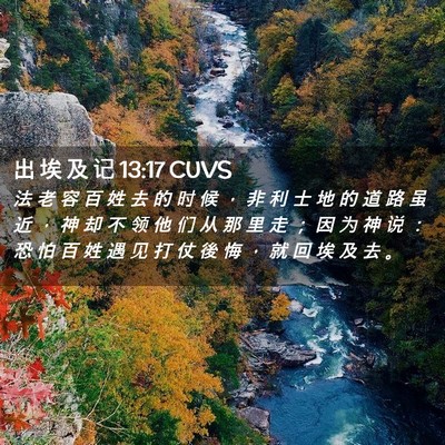 Picture 02 - 出 埃 及 记 13:17 CUVS - 法 老 容 百 姓 去 的 时 候 ， 非 利 - Bible Verse Picture