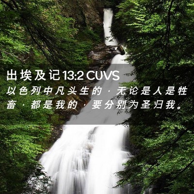 Picture 02 - 出 埃 及 记 13:2 CUVS - 以 色 列 中 凡 头 生 的 ， 无 论 是 - Bible Verse Picture