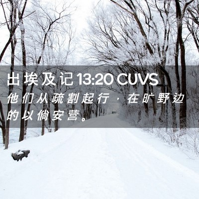 Picture 02 - 出 埃 及 记 13:20 CUVS - 他 们 从 疏 割 起 行 ， 在 旷 野 边 - Bible Verse Picture