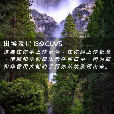 Picture 02 - 出 埃 及 记 13:9 CUVS - 这 要 在 你 手 上 作 记 号 ， 在 你 - Bible Verse Picture
