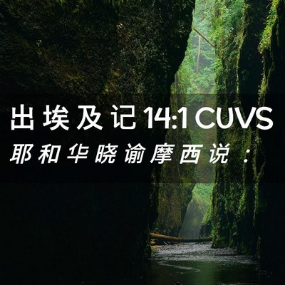 Picture 02 - 出 埃 及 记 14:1 CUVS - 耶 和 华 晓 谕 摩 西 说 - Bible Verse Picture