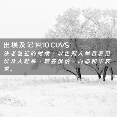 Picture 02 - 出 埃 及 记 14:10 CUVS - 法 老 临 近 的 时 候 ， 以 色 列 人 - Bible Verse Picture