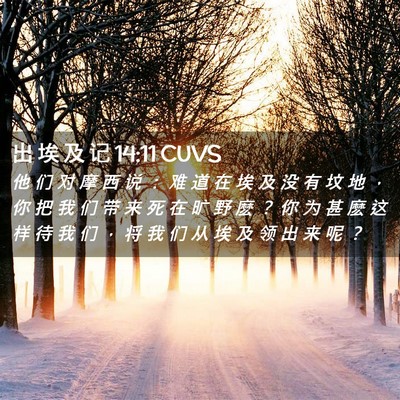 Picture 02 - 出 埃 及 记 14:11 CUVS - 他 们 对 摩 西 说 ： 难 道 在 埃 及 - Bible Verse Picture