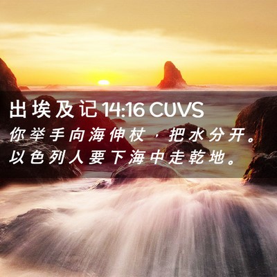 Picture 02 - 出 埃 及 记 14:16 CUVS - 你 举 手 向 海 伸 杖 ， 把 水 分 开 - Bible Verse Picture