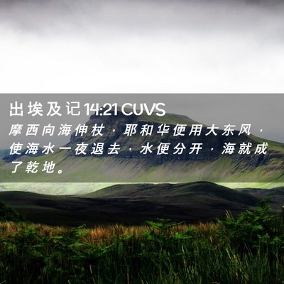 Picture 02 - 出 埃 及 记 14:21 CUVS - 摩 西 向 海 伸 杖 ， 耶 和 华 便 用 - Bible Verse Picture