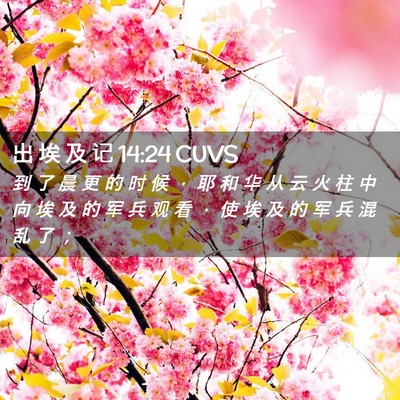 Picture 02 - 出 埃 及 记 14:24 CUVS - 到 了 晨 更 的 时 候 ， 耶 和 华 从 - Bible Verse Picture