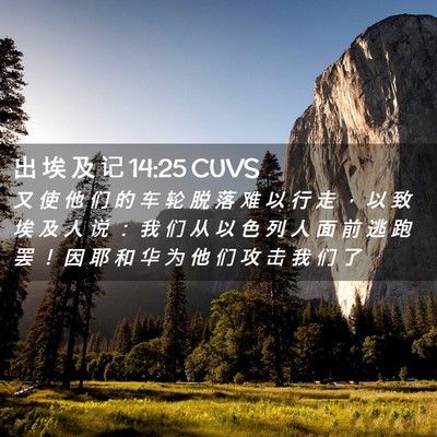 Picture 02 - 出 埃 及 记 14:25 CUVS - 又 使 他 们 的 车 轮 脱 落 难 以 行 - Bible Verse Picture