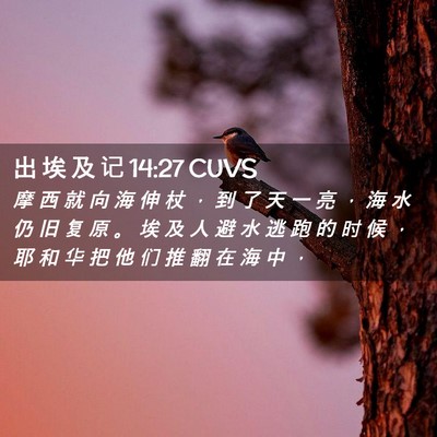 Picture 02 - 出 埃 及 记 14:27 CUVS - 摩 西 就 向 海 伸 杖 ， 到 了 天 一 - Bible Verse Picture
