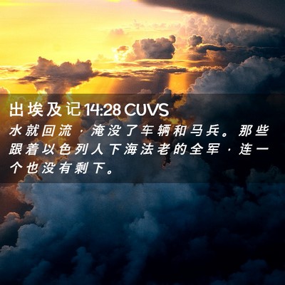Picture 02 - 出 埃 及 记 14:28 CUVS - 水 就 回 流 ， 淹 没 了 车 辆 和 马 - Bible Verse Picture