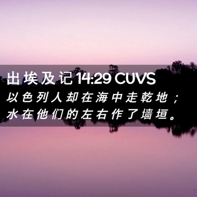 Picture 02 - 出 埃 及 记 14:29 CUVS - 以 色 列 人 却 在 海 中 走 乾 地 ； - Bible Verse Picture