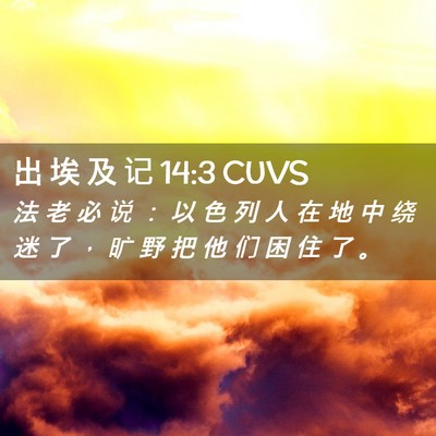 Picture 02 - 出 埃 及 记 14:3 CUVS - 法 老 必 说 ： 以 色 列 人 在 地 中 - Bible Verse Picture