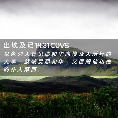 Picture 02 - 出 埃 及 记 14:31 CUVS - 以 色 列 人 看 见 耶 和 华 向 埃 及 - Bible Verse Picture