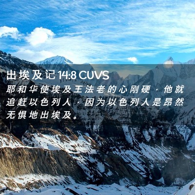 Picture 02 - 出 埃 及 记 14:8 CUVS - 耶 和 华 使 埃 及 王 法 老 的 心 刚 - Bible Verse Picture
