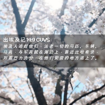 Picture 02 - 出 埃 及 记 14:9 CUVS - 埃 及 人 追 赶 他 们 ， 法 老 一 切 - Bible Verse Picture