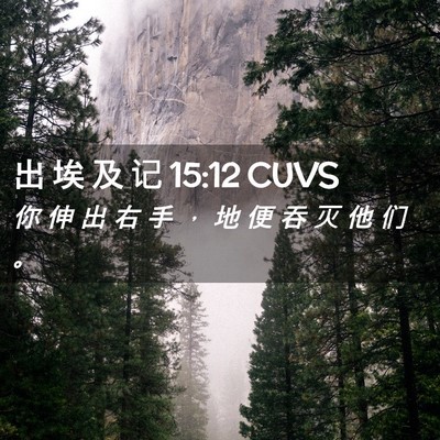 Picture 02 - 出 埃 及 记 15:12 CUVS - 你 伸 出 右 手 ， 地 便 吞 灭 他 们 - Bible Verse Picture