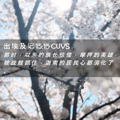 Picture 02 - 出 埃 及 记 15:15 CUVS - 那 时 ， 以 东 的 族 长 惊 惶 ， 摩 - Bible Verse Picture