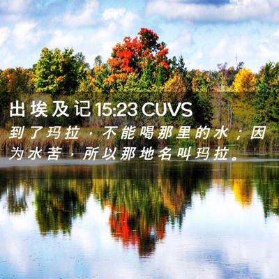 Picture 02 - 出 埃 及 记 15:23 CUVS - 到 了 玛 拉 ， 不 能 喝 那 里 的 水 - Bible Verse Picture