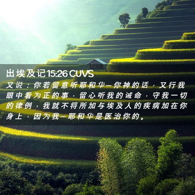 Picture 02 - 出 埃 及 记 15:26 CUVS - 又 说 ： 你 若 留 意 听 耶 和 华 ─ - Bible Verse Picture