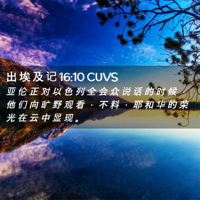 Picture 02 - 出 埃 及 记 16:10 CUVS - 亚 伦 正 对 以 色 列 全 会 众 说 话 - Bible Verse Picture