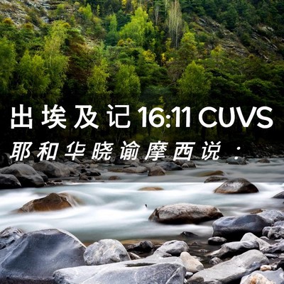 Picture 02 - 出 埃 及 记 16:11 CUVS - 耶 和 华 晓 谕 摩 西 说 - Bible Verse Picture