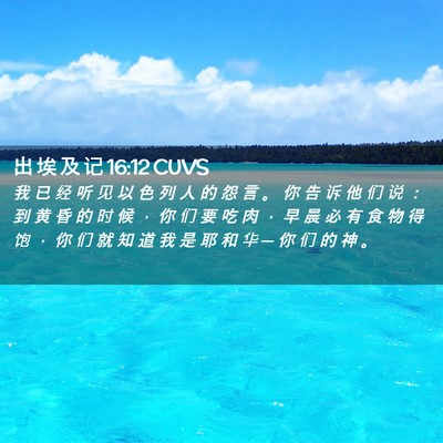 Picture 02 - 出 埃 及 记 16:12 CUVS - 我 已 经 听 见 以 色 列 人 的 怨 言 - Bible Verse Picture