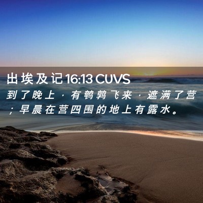 Picture 02 - 出 埃 及 记 16:13 CUVS - 到 了 晚 上 ， 有 鹌 鹑 飞 来 ， 遮 - Bible Verse Picture