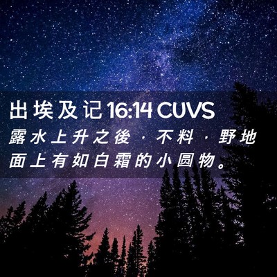 Picture 02 - 出 埃 及 记 16:14 CUVS - 露 水 上 升 之 後 ， 不 料 ， 野 地 - Bible Verse Picture