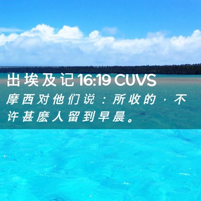 Picture 02 - 出 埃 及 记 16:19 CUVS - 摩 西 对 他 们 说 ： 所 收 的 ， 不 - Bible Verse Picture