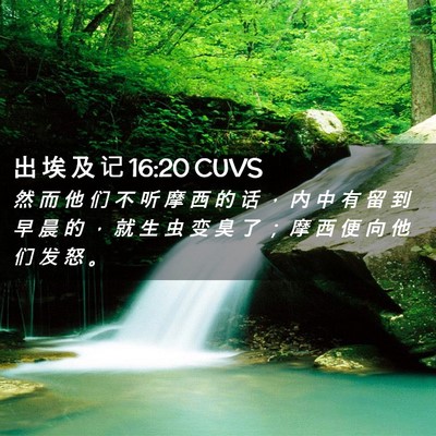 Picture 02 - 出 埃 及 记 16:20 CUVS - 然 而 他 们 不 听 摩 西 的 话 ， 内 - Bible Verse Picture
