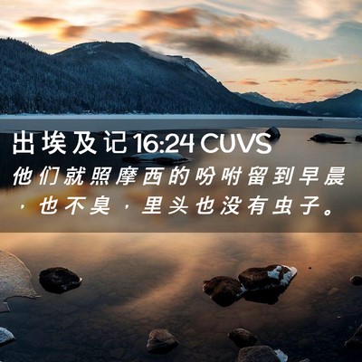 Picture 02 - 出 埃 及 记 16:24 CUVS - 他 们 就 照 摩 西 的 吩 咐 留 到 早 - Bible Verse Picture