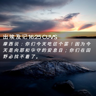 Picture 02 - 出 埃 及 记 16:25 CUVS - 摩 西 说 ： 你 们 今 天 吃 这 个 罢 - Bible Verse Picture