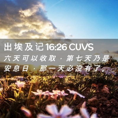 Picture 02 - 出 埃 及 记 16:26 CUVS - 六 天 可 以 收 取 ， 第 七 天 乃 是 - Bible Verse Picture