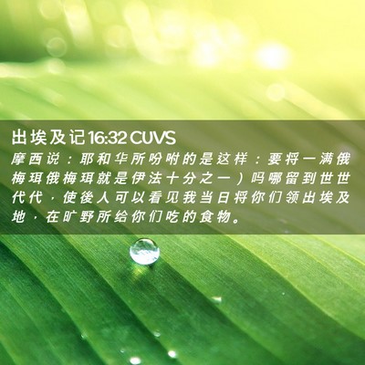 Picture 02 - 出 埃 及 记 16:32 CUVS - 摩 西 说 ： 耶 和 华 所 吩 咐 的 是 - Bible Verse Picture