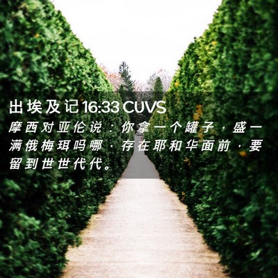 Picture 02 - 出 埃 及 记 16:33 CUVS - 摩 西 对 亚 伦 说 ： 你 拿 一 个 罐 - Bible Verse Picture