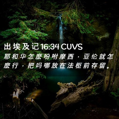 Picture 02 - 出 埃 及 记 16:34 CUVS - 耶 和 华 怎 麽 吩 咐 摩 西 ， 亚 伦 - Bible Verse Picture