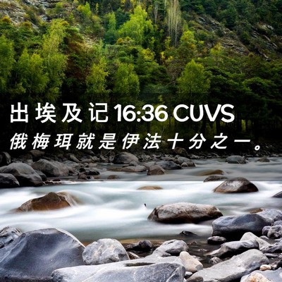 Picture 02 - 出 埃 及 记 16:36 CUVS - 俄 梅 珥 就 是 伊 法 十 分 之 一 - Bible Verse Picture