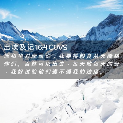 Picture 02 - 出 埃 及 记 16:4 CUVS - 耶 和 华 对 摩 西 说 ： 我 要 将 粮 - Bible Verse Picture