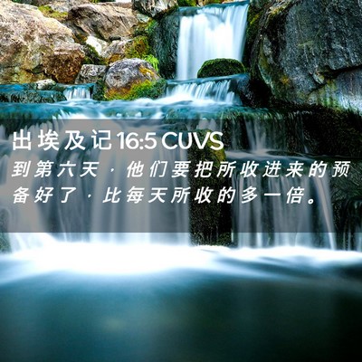 Picture 02 - 出 埃 及 记 16:5 CUVS - 到 第 六 天 ， 他 们 要 把 所 收 进 - Bible Verse Picture