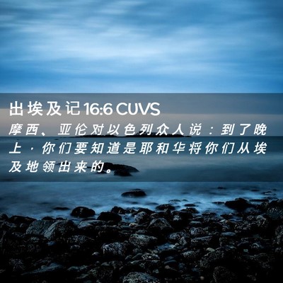 Picture 02 - 出 埃 及 记 16:6 CUVS - 摩 西 、 亚 伦 对 以 色 列 众 人 说 - Bible Verse Picture
