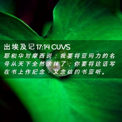 Picture 02 - 出 埃 及 记 17:14 CUVS - 耶 和 华 对 摩 西 说 ： 我 要 将 亚 - Bible Verse Picture