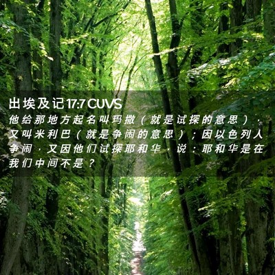 Picture 02 - 出 埃 及 记 17:7 CUVS - 他 给 那 地 方 起 名 叫 玛 撒 （ 就 - Bible Verse Picture