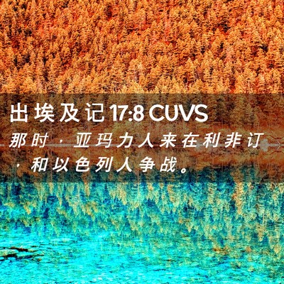Picture 02 - 出 埃 及 记 17:8 CUVS - 那 时 ， 亚 玛 力 人 来 在 利 非 订 - Bible Verse Picture