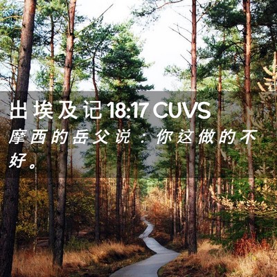 Picture 02 - 出 埃 及 记 18:17 CUVS - 摩 西 的 岳 父 说 ： 你 这 做 的 不 - Bible Verse Picture