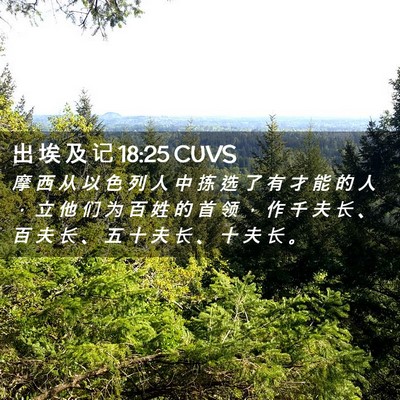 Picture 02 - 出 埃 及 记 18:25 CUVS - 摩 西 从 以 色 列 人 中 拣 选 了 有 - Bible Verse Picture