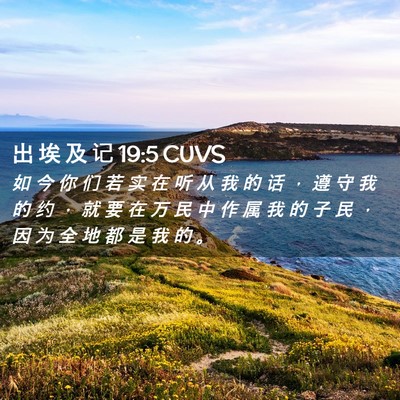 Picture 02 - 出 埃 及 记 19:5 CUVS - 如 今 你 们 若 实 在 听 从 我 的 话 - Bible Verse Picture