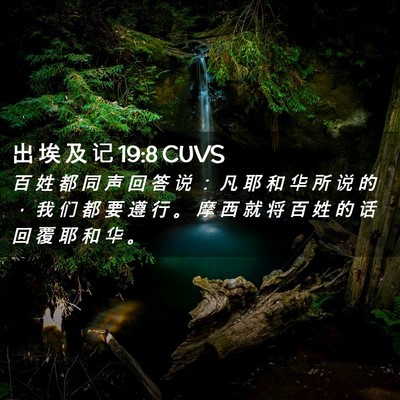 Picture 02 - 出 埃 及 记 19:8 CUVS - 百 姓 都 同 声 回 答 说 ： 凡 耶 和 - Bible Verse Picture