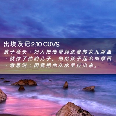 Picture 02 - 出 埃 及 记 2:10 CUVS - 孩 子 渐 长 ， 妇 人 把 他 带 到 法 - Bible Verse Picture