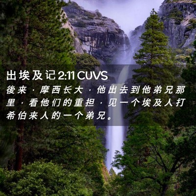 Picture 02 - 出 埃 及 记 2:11 CUVS - 後 来 ， 摩 西 长 大 ， 他 出 去 到 - Bible Verse Picture