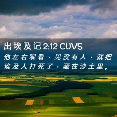Picture 02 - 出 埃 及 记 2:12 CUVS - 他 左 右 观 看 ， 见 没 有 人 ， 就 - Bible Verse Picture